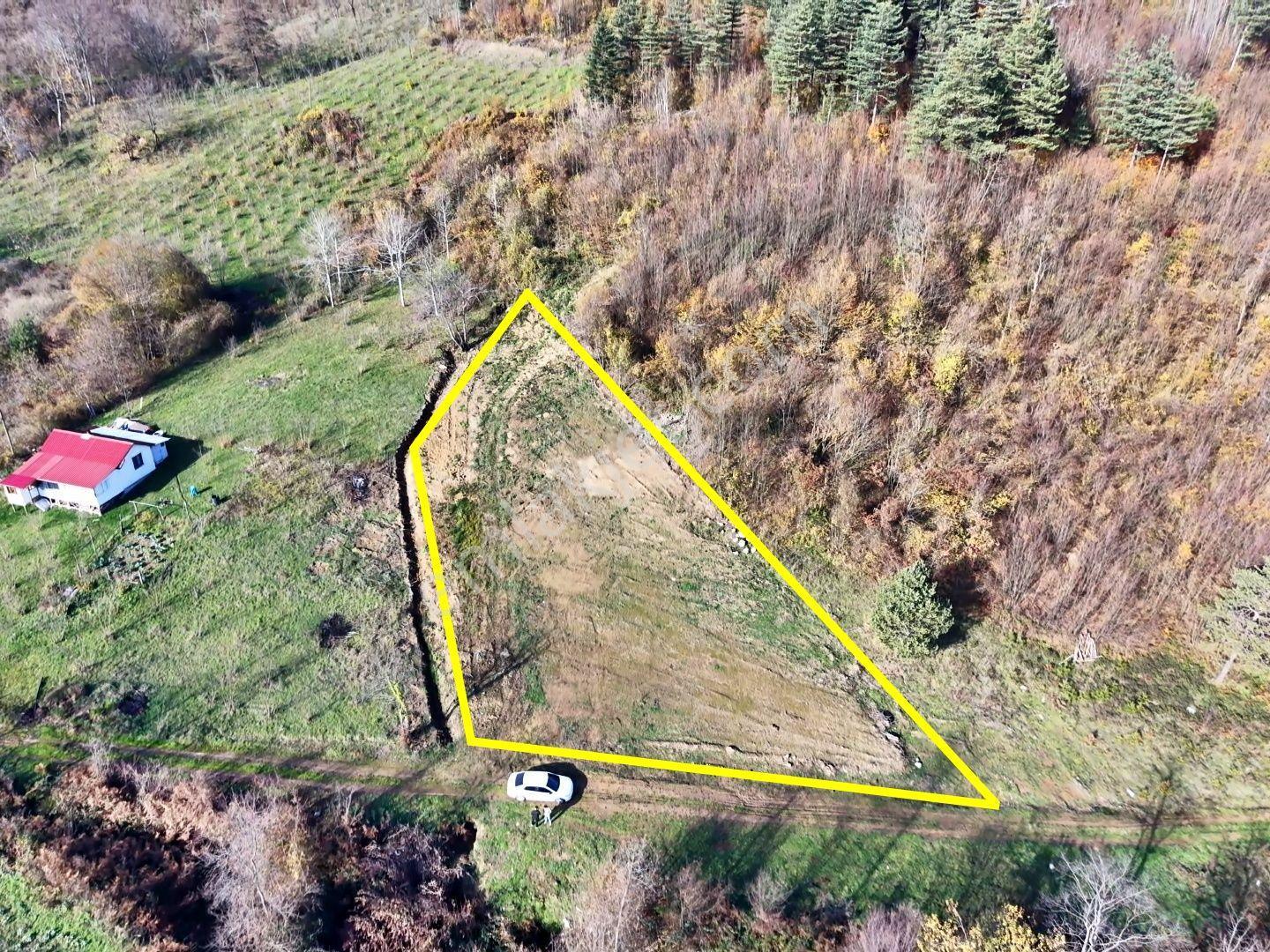 Emlakevim - Hendek Karadere Mah.de 1385 M2 Satılık İmarlı Arsa - - Görsel 4