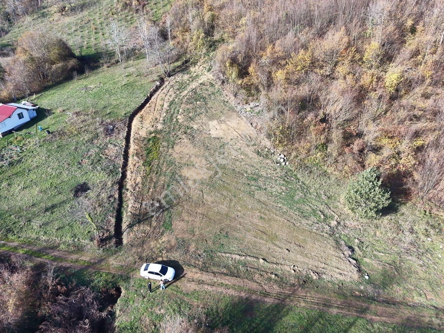 Emlakevim - Hendek Karadere Mah.de 1385 M2 Satılık İmarlı Arsa - - Görsel 21