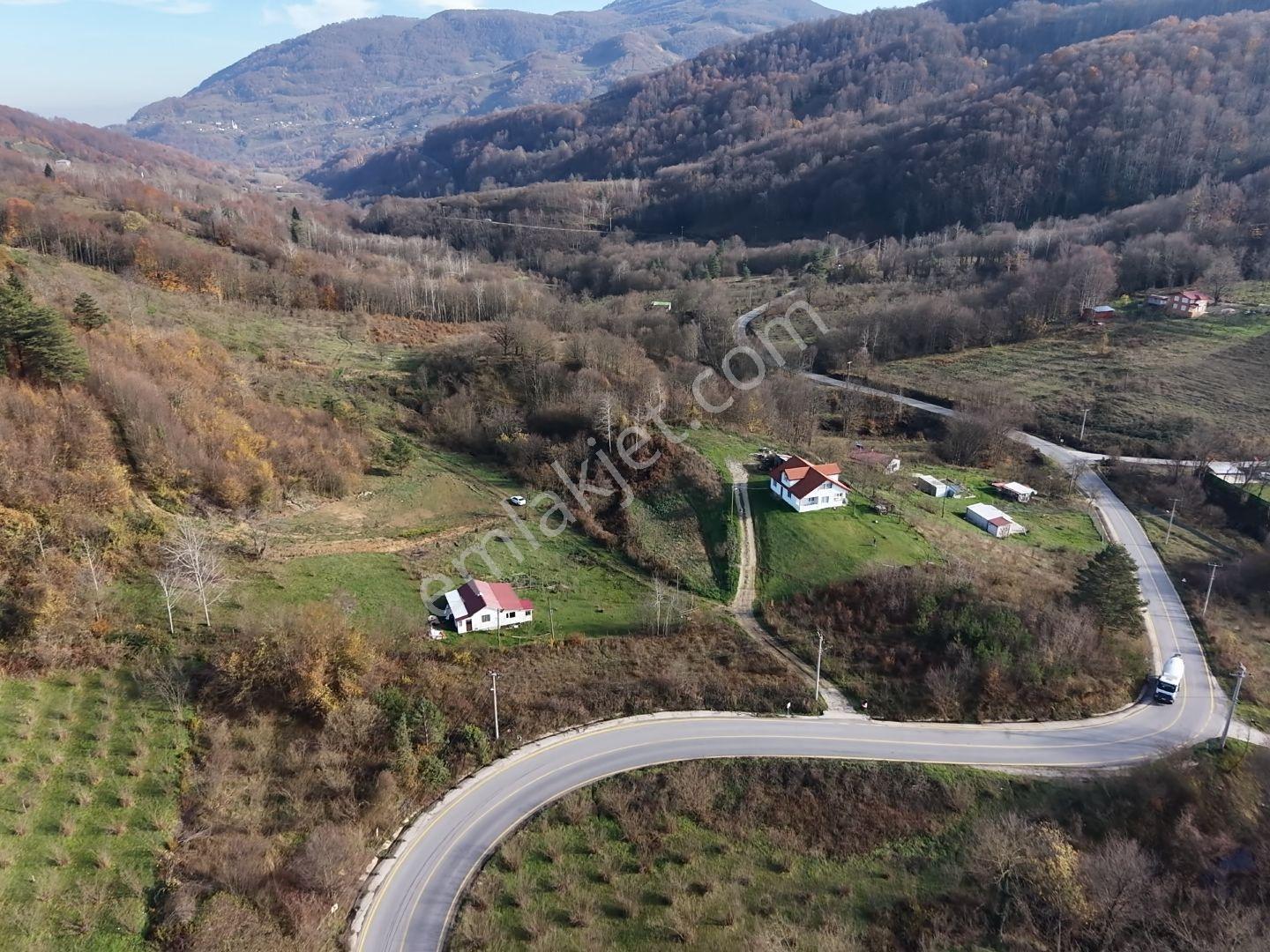 Emlakevim - Hendek Karadere Mah.de 1385 M2 Satılık İmarlı Arsa - - Görsel 24