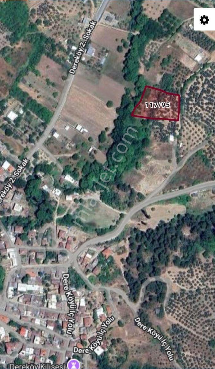 Mudanya Dereköyde Yola Çephe Ve Köye Yakın Yatırımlık Zeytinlik