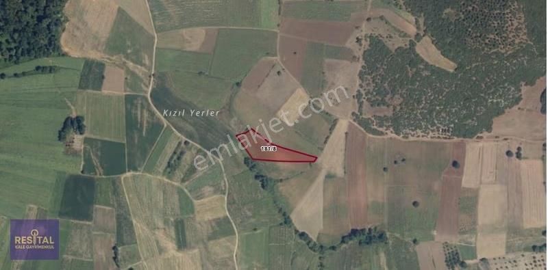 Bursa Mudanya Yörükyenicesi Köyünde Satılık 4158 M2 Tarla - Görsel 4