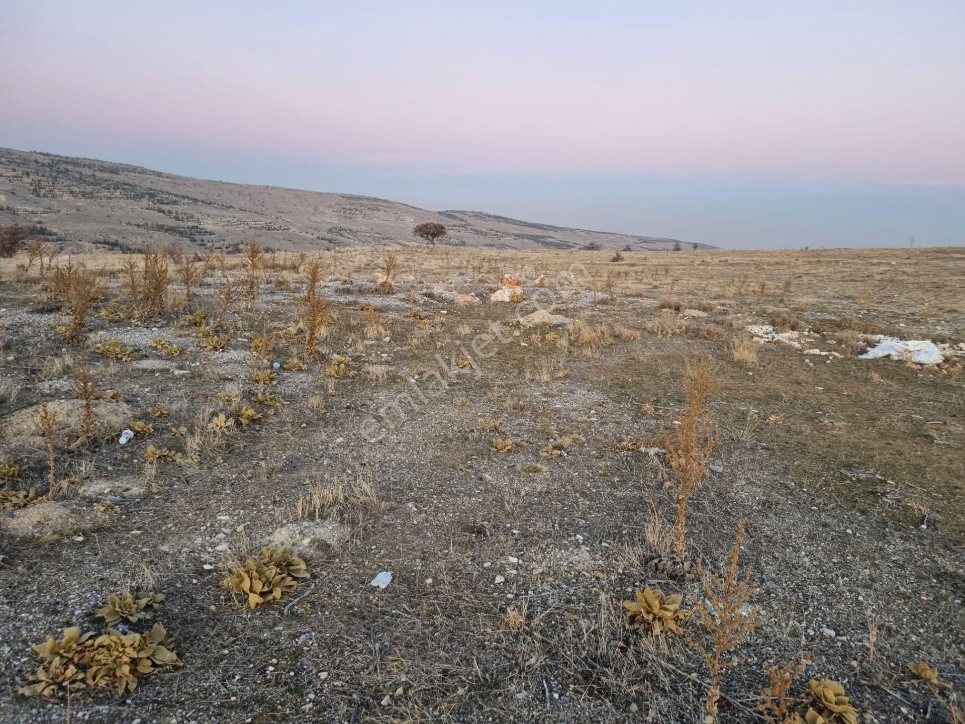 Geleceğe Değer Katmak İsteyen Yatırımcılar İçin Kaçırılmayacak Fırsat ! Sarayköy De - Görsel 15