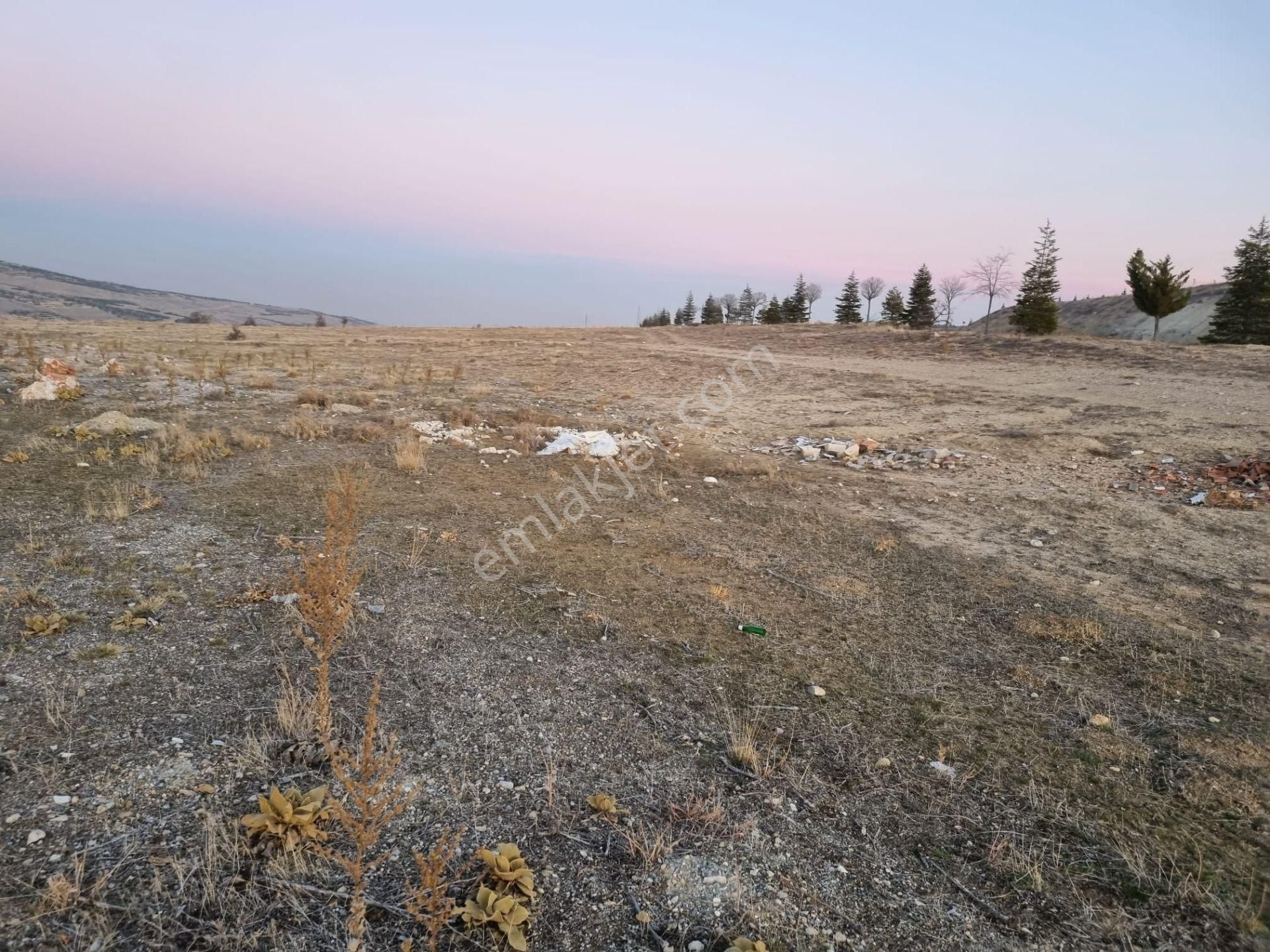 Geleceğe Değer Katmak İsteyen Yatırımcılar İçin Kaçırılmayacak Fırsat ! Sarayköy De - Görsel 10