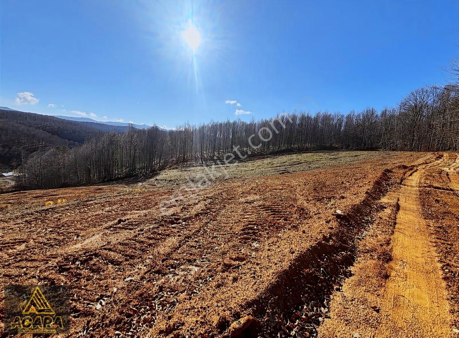 İznik Kutluca'da / 846 M² Villalık Arsa /doğa Manzaralı - Görsel 4