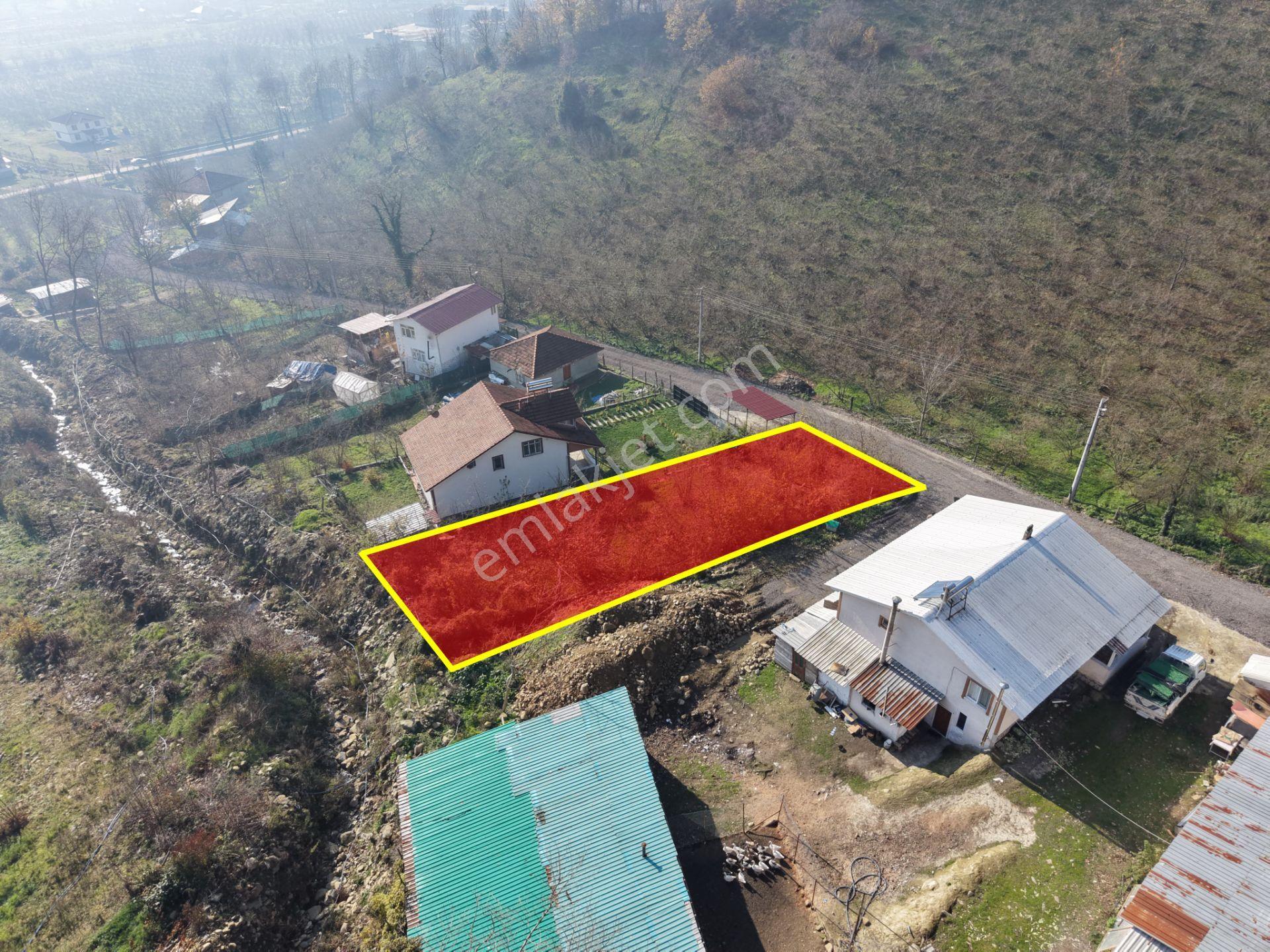 Emlak Evim - Düzce Gölyaka Yazlık Mah. 514 M² İmarlı Arsa - Görsel 10