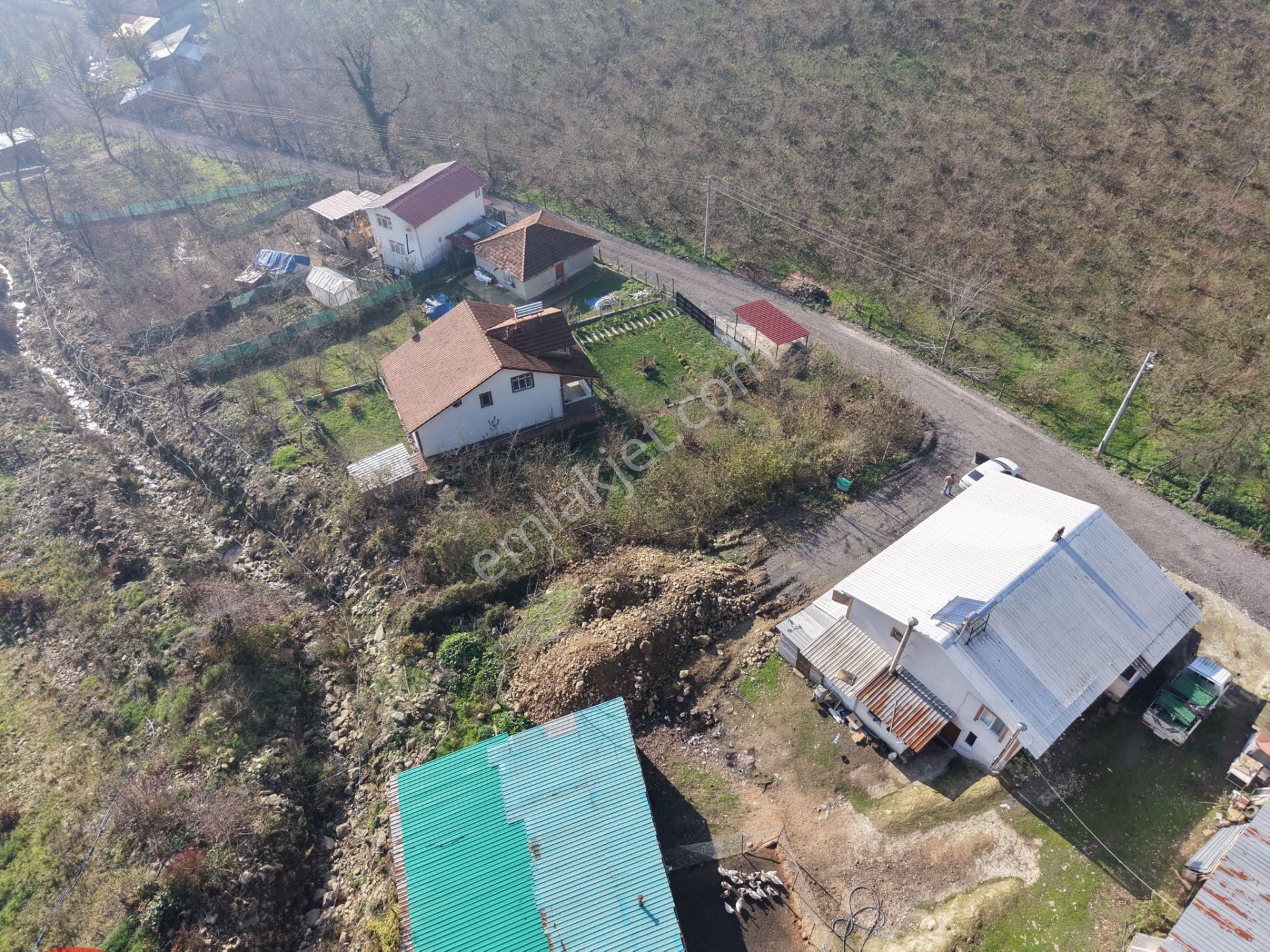 Emlak Evim - Düzce Gölyaka Yazlık Mah. 514 M² İmarlı Arsa - Görsel 11