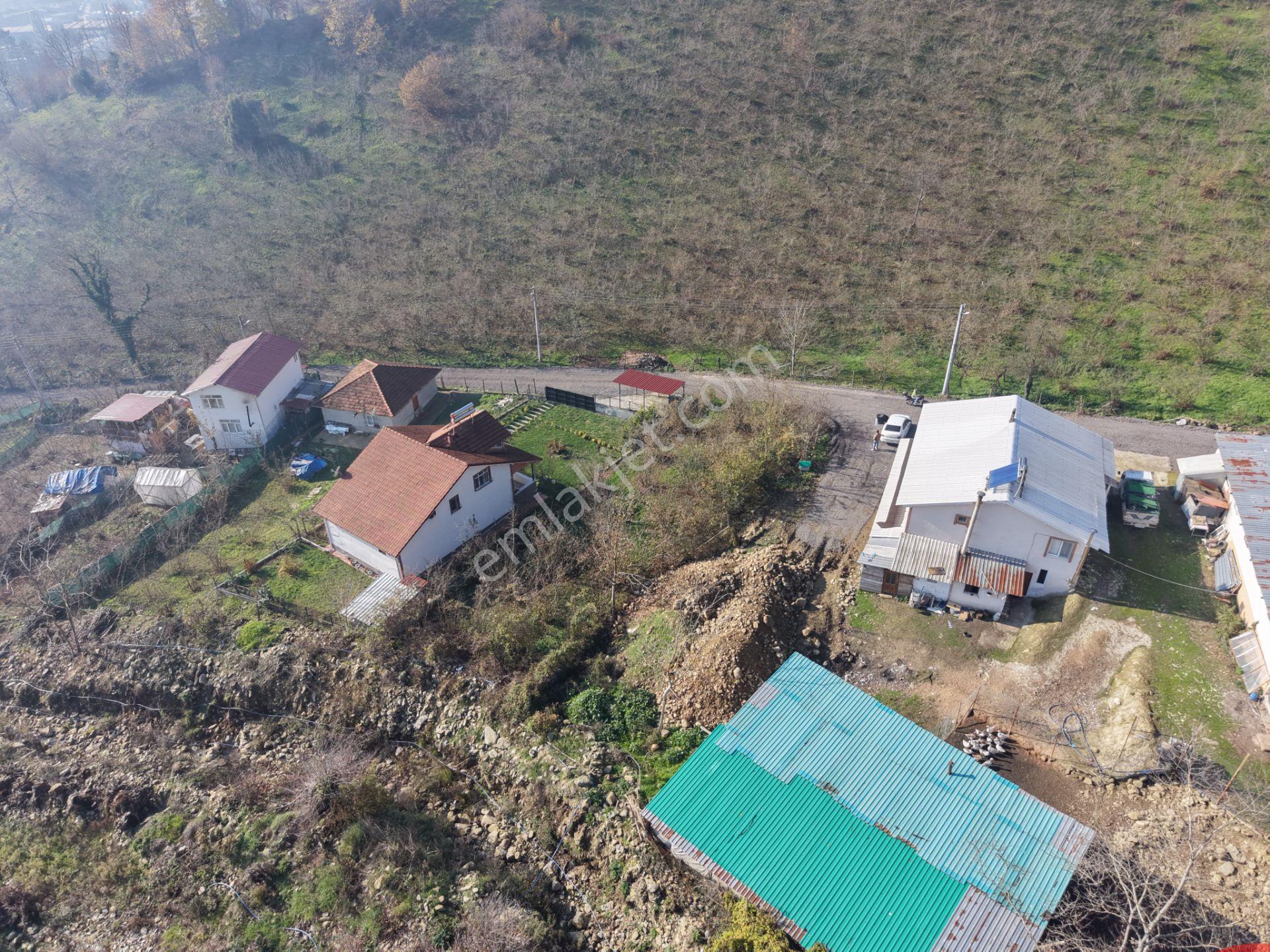 Emlak Evim - Düzce Gölyaka Yazlık Mah. 514 M² İmarlı Arsa - Görsel 9