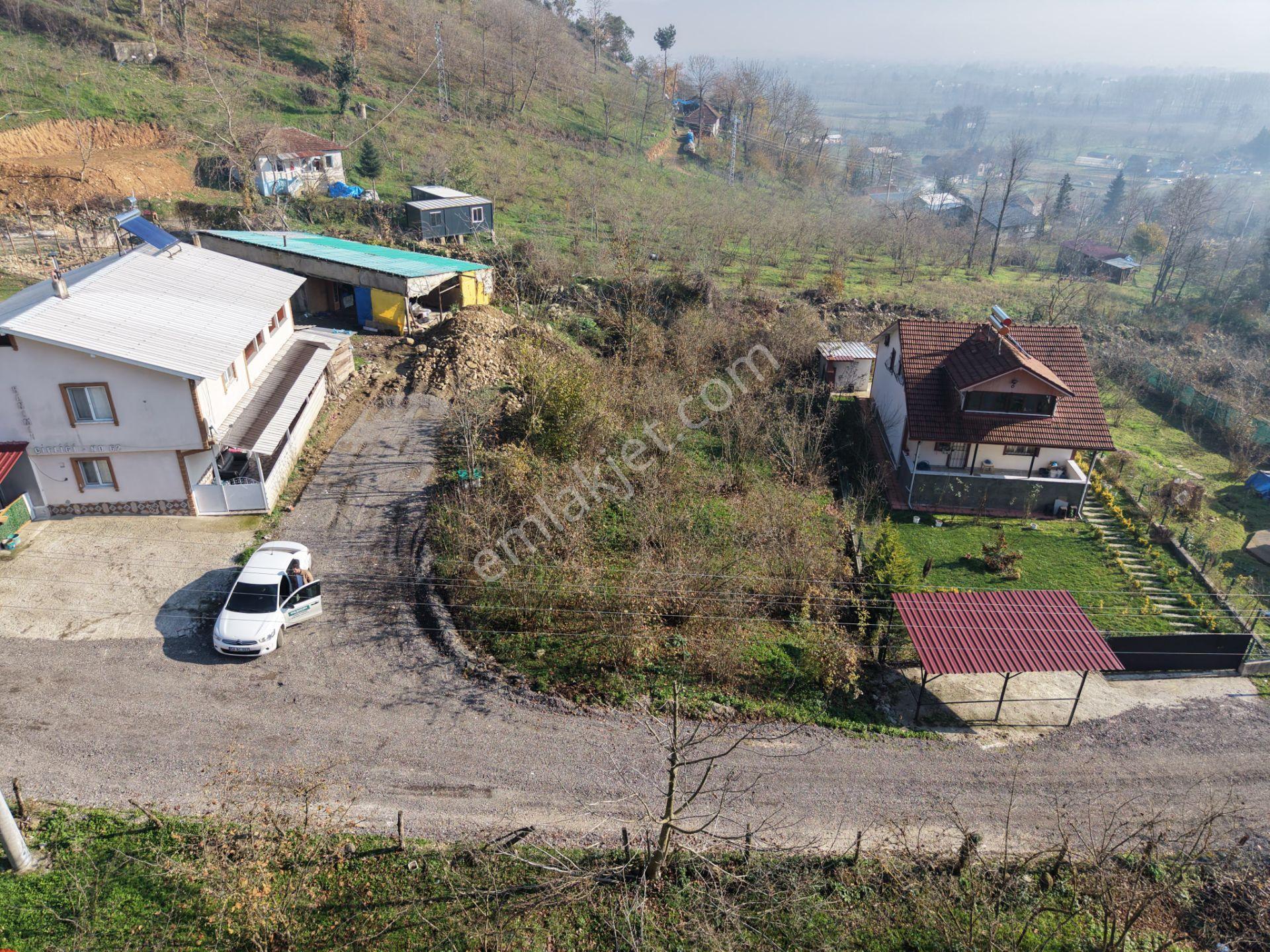 Emlak Evim - Düzce Gölyaka Yazlık Mah. 514 M² İmarlı Arsa - Görsel 21