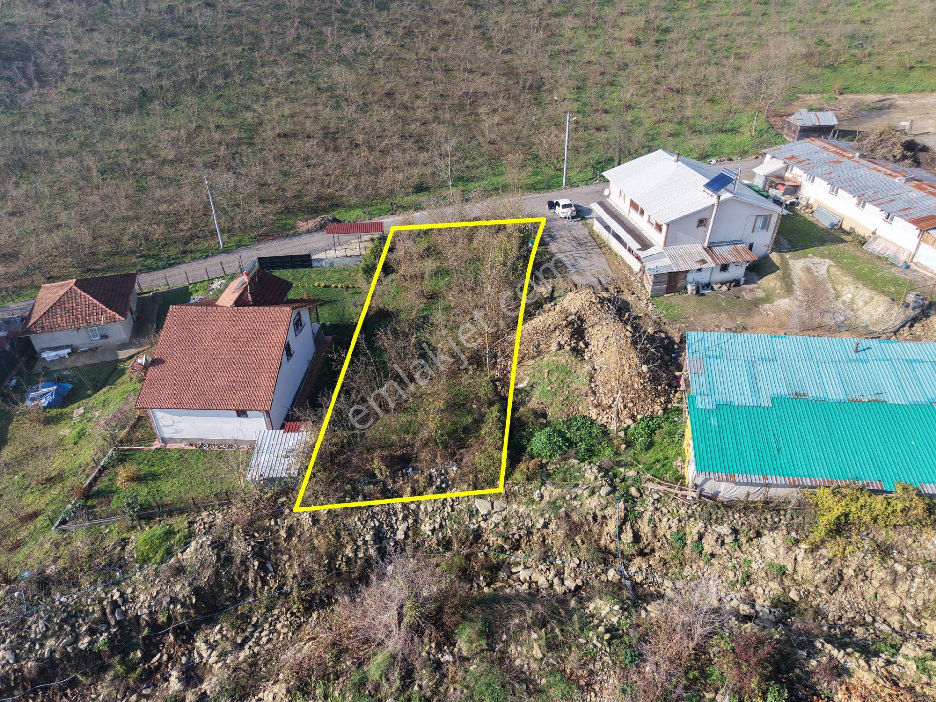 Emlak Evim - Düzce Gölyaka Yazlık Mah. 514 M² İmarlı Arsa - Görsel 7