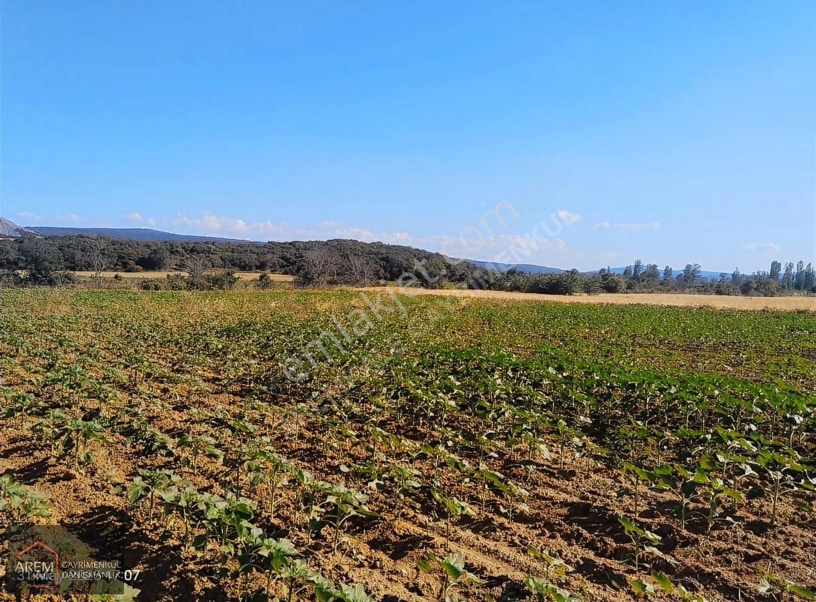 Çanakkale / Gelibolu Karainebeyli Köyü Satılık Tarla - Görsel 5