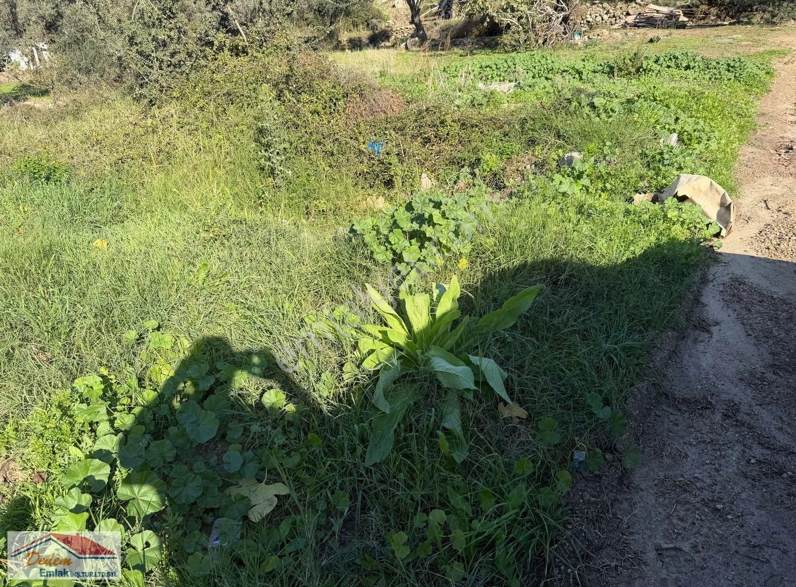 Muğla Bodrum Gündoğan Mah. Satılık Konut İmarlı Arsa - Görsel 2