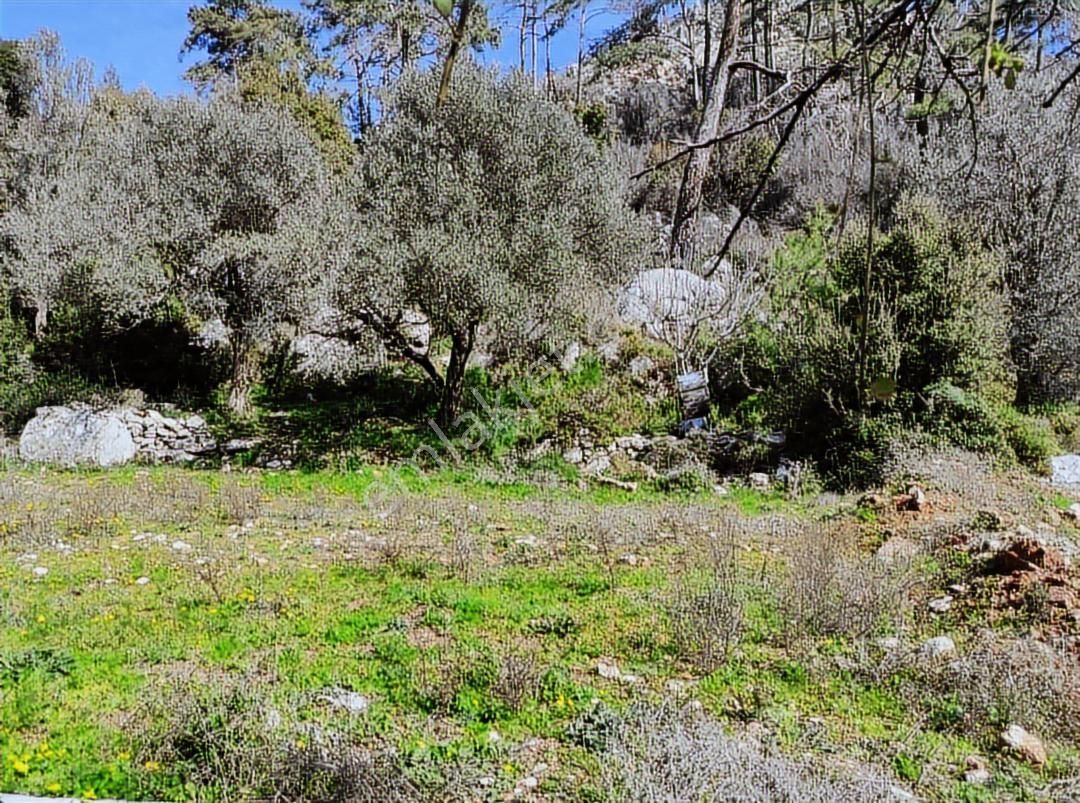 Marmaris'in En Uygun Fiyatlı İmarlı Parseli - Görsel 19