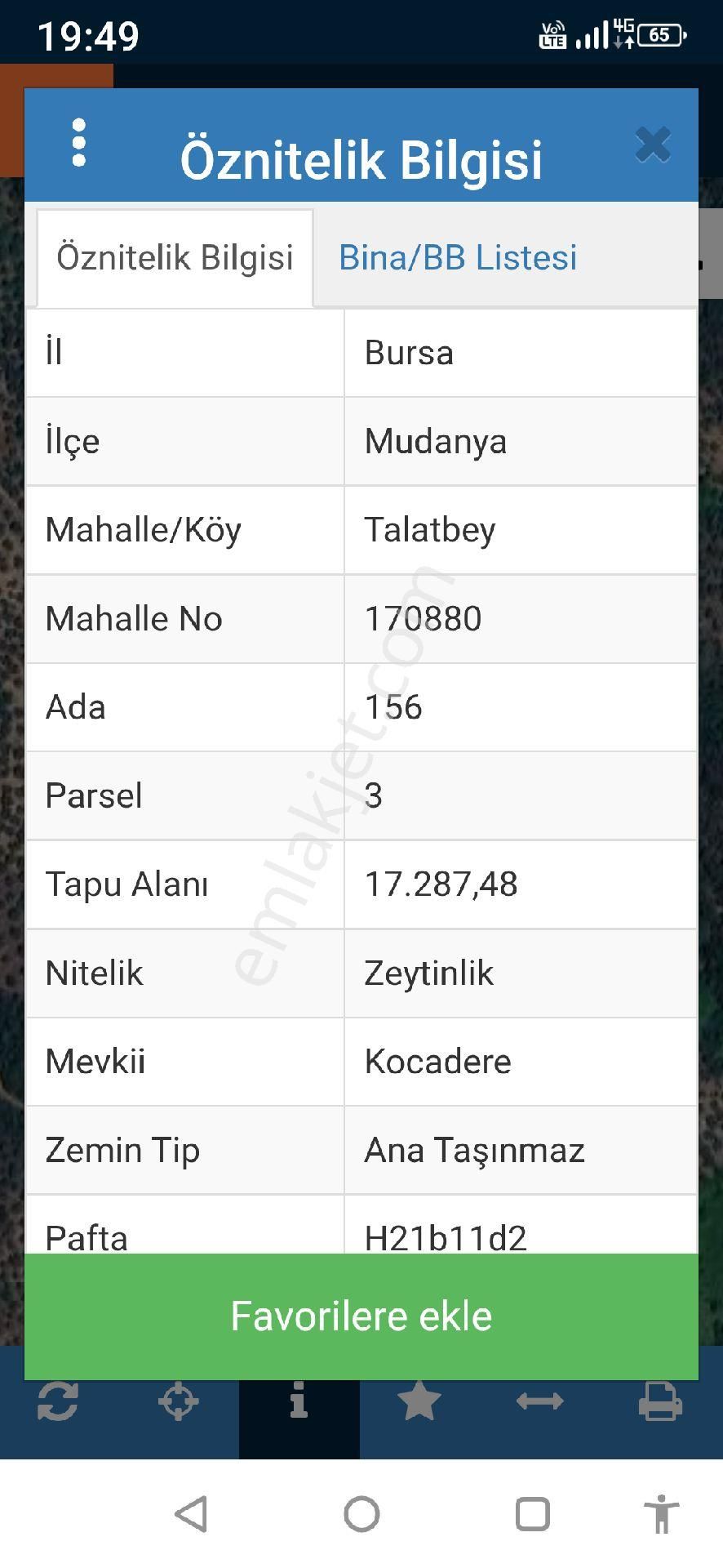 Mudanya Trilye Deniz Manzaralı Zeytinlik - Görsel 25