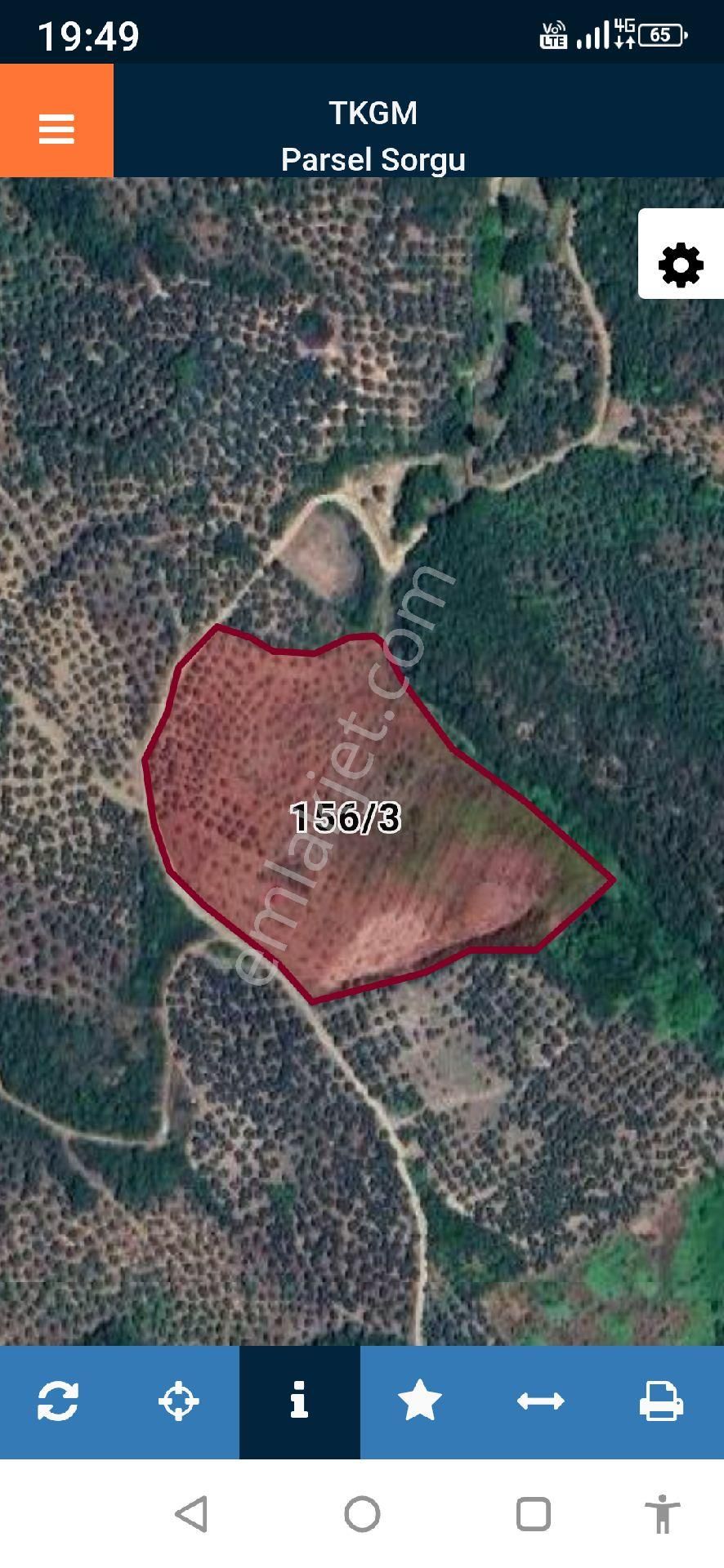 Mudanya Trilye Deniz Manzaralı Zeytinlik - Görsel 24