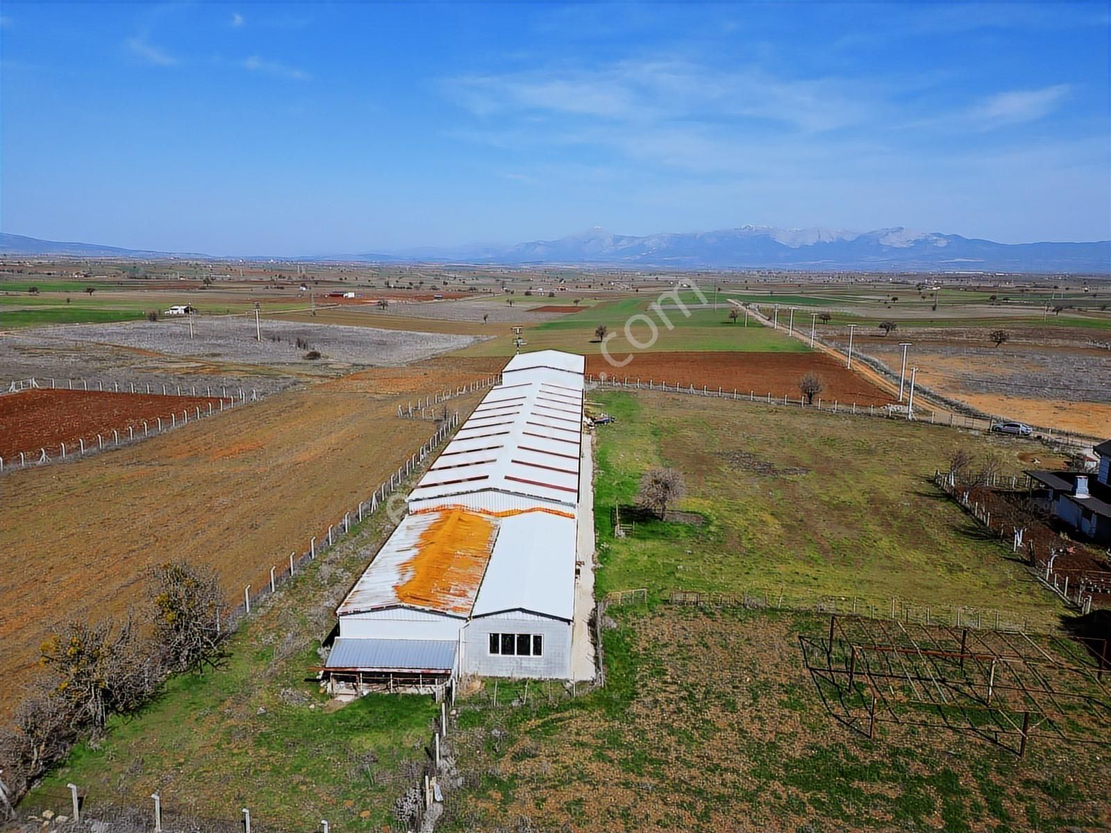 Net Premium'dan Tavas Ana Asfalt'da Muhteşem Çiftlik - Görsel 6