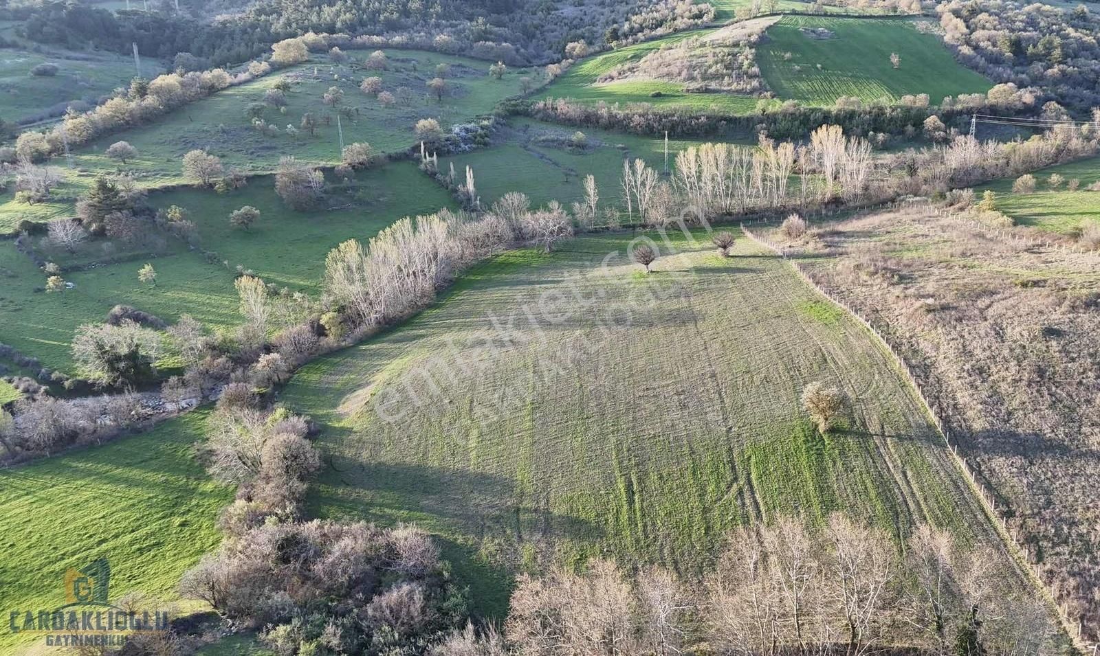 Kazdağlarının Eteğinde Baraj Manzaralı 15.000 M2 Kelepir Satılık - Görsel 6