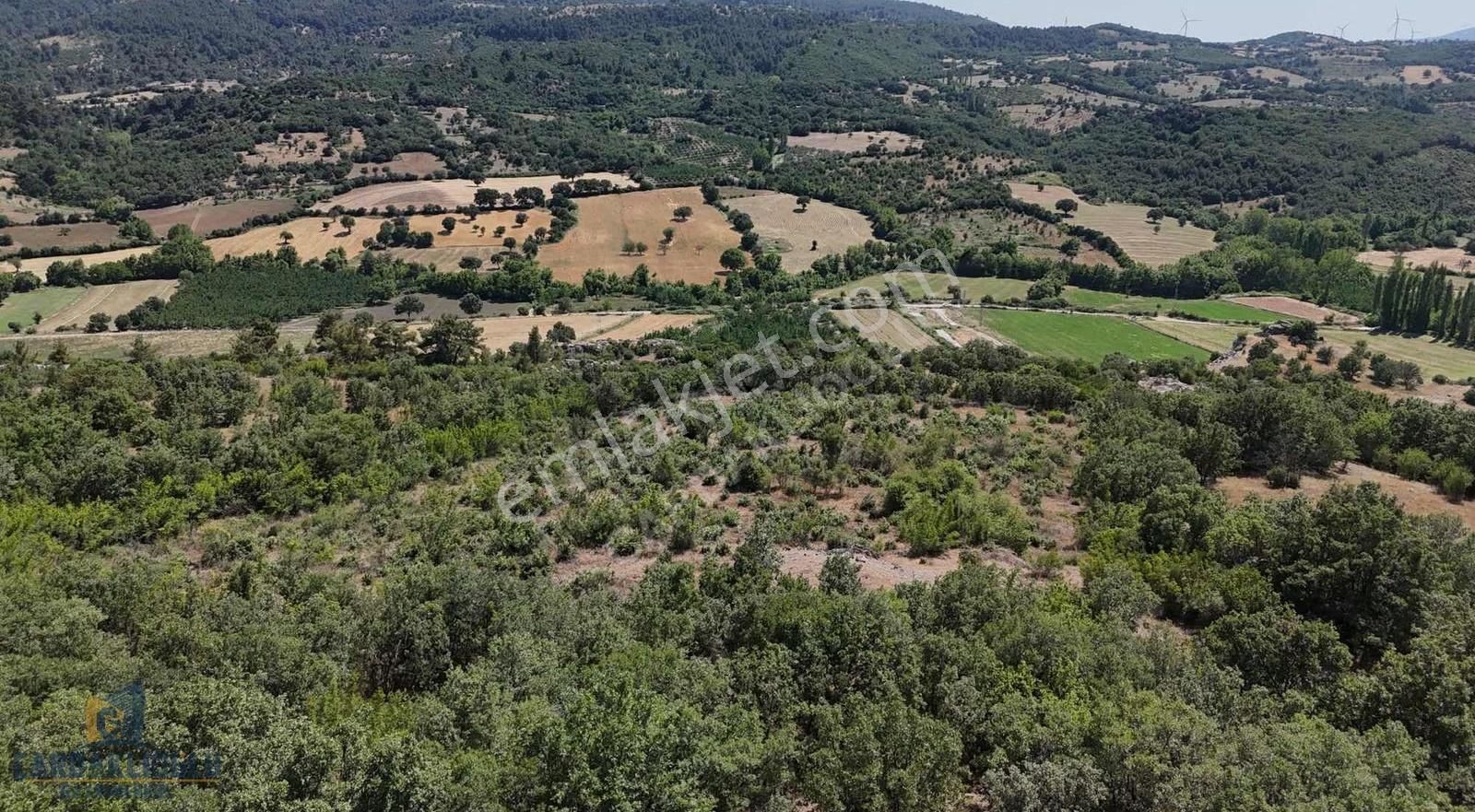 Ayvacık Misvak Kelepir 8100 M2 Doğanın Kalbinde Baraj Manzaralı - Görsel 31