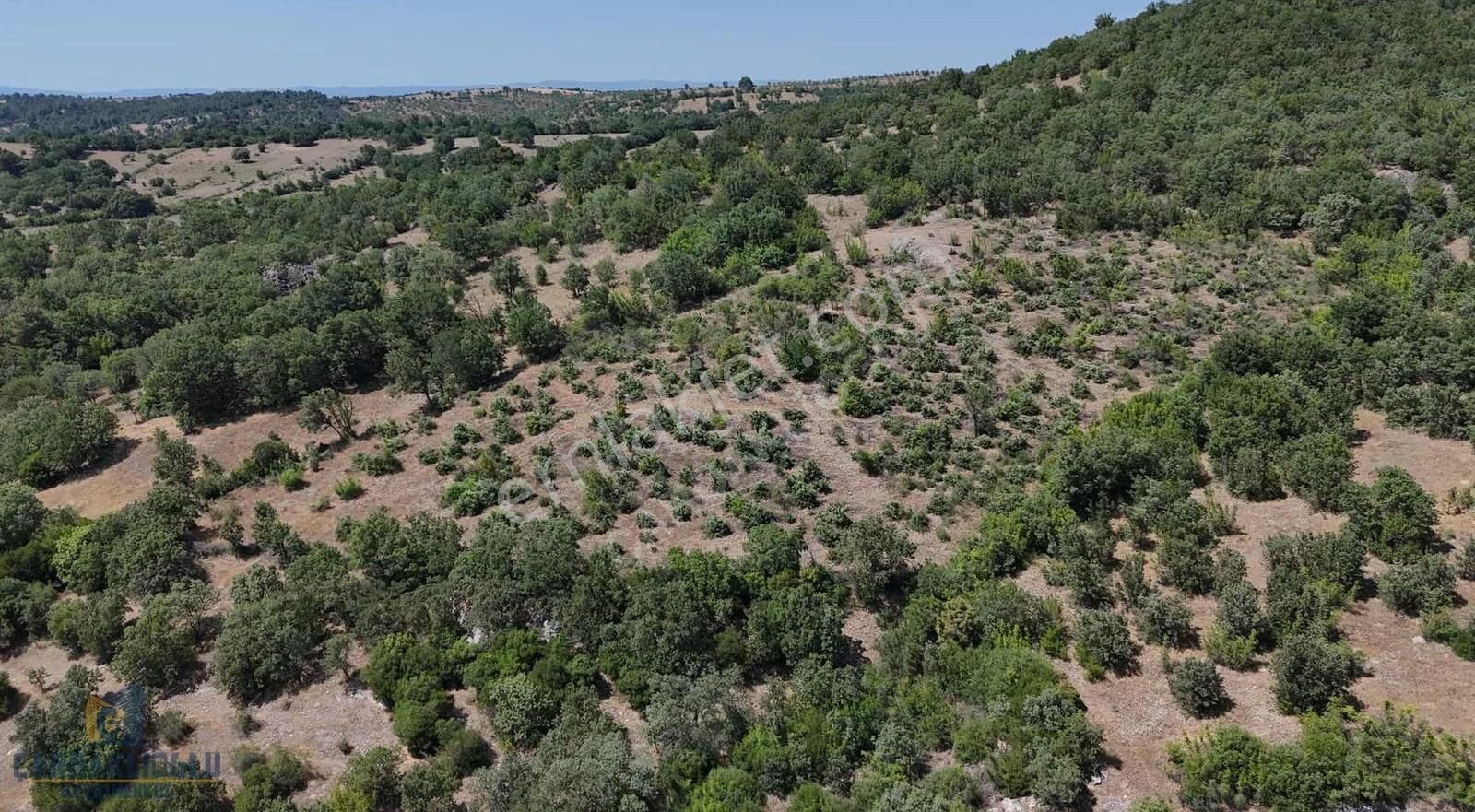 Ayvacık Misvak Kelepir 8100 M2 Doğanın Kalbinde Baraj Manzaralı - Görsel 32