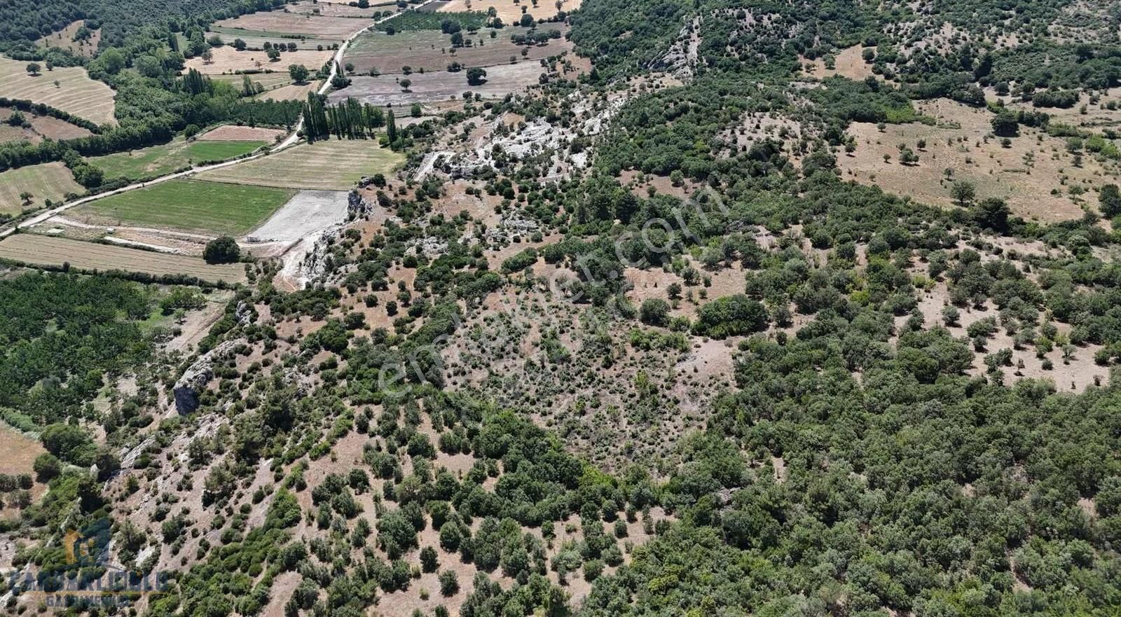Ayvacık Misvak Kelepir 8100 M2 Doğanın Kalbinde Baraj Manzaralı - Görsel 8