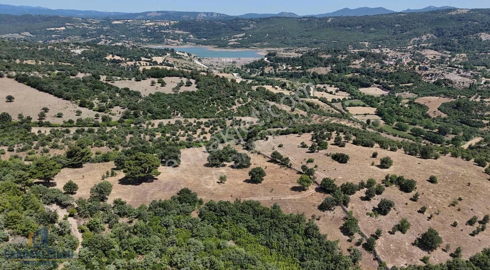 Ayvacık Misvak Kelepir 8100 M2 Doğanın Kalbinde Baraj Manzaralı - Görsel 24