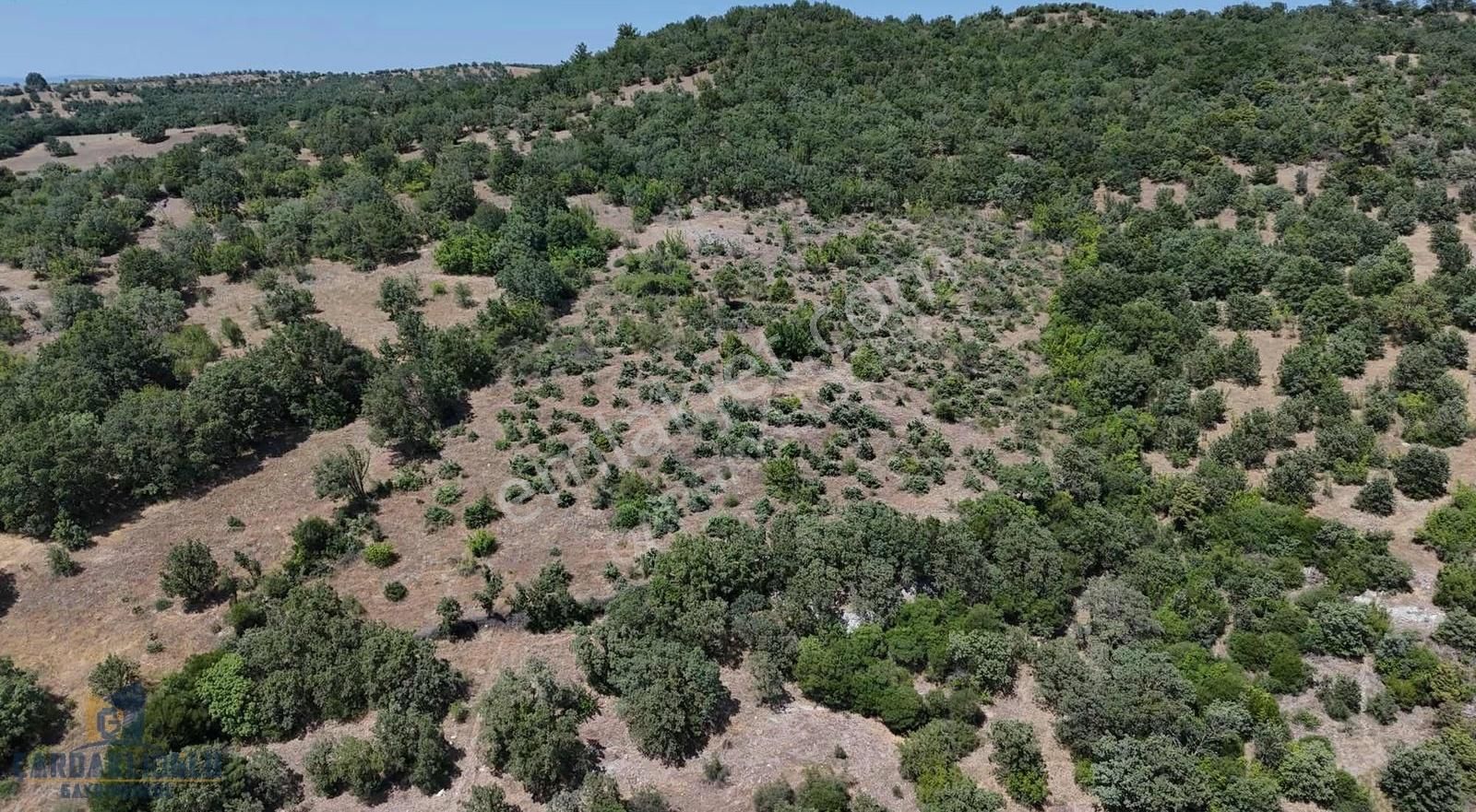 Ayvacık Misvak Kelepir 8100 M2 Doğanın Kalbinde Baraj Manzaralı - Görsel 21