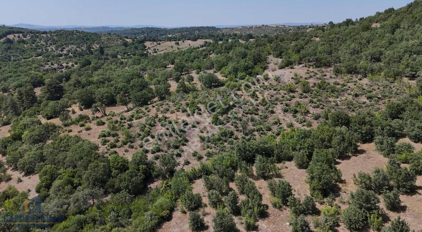 Ayvacık Misvak Kelepir 8100 M2 Doğanın Kalbinde Baraj Manzaralı - Görsel 14