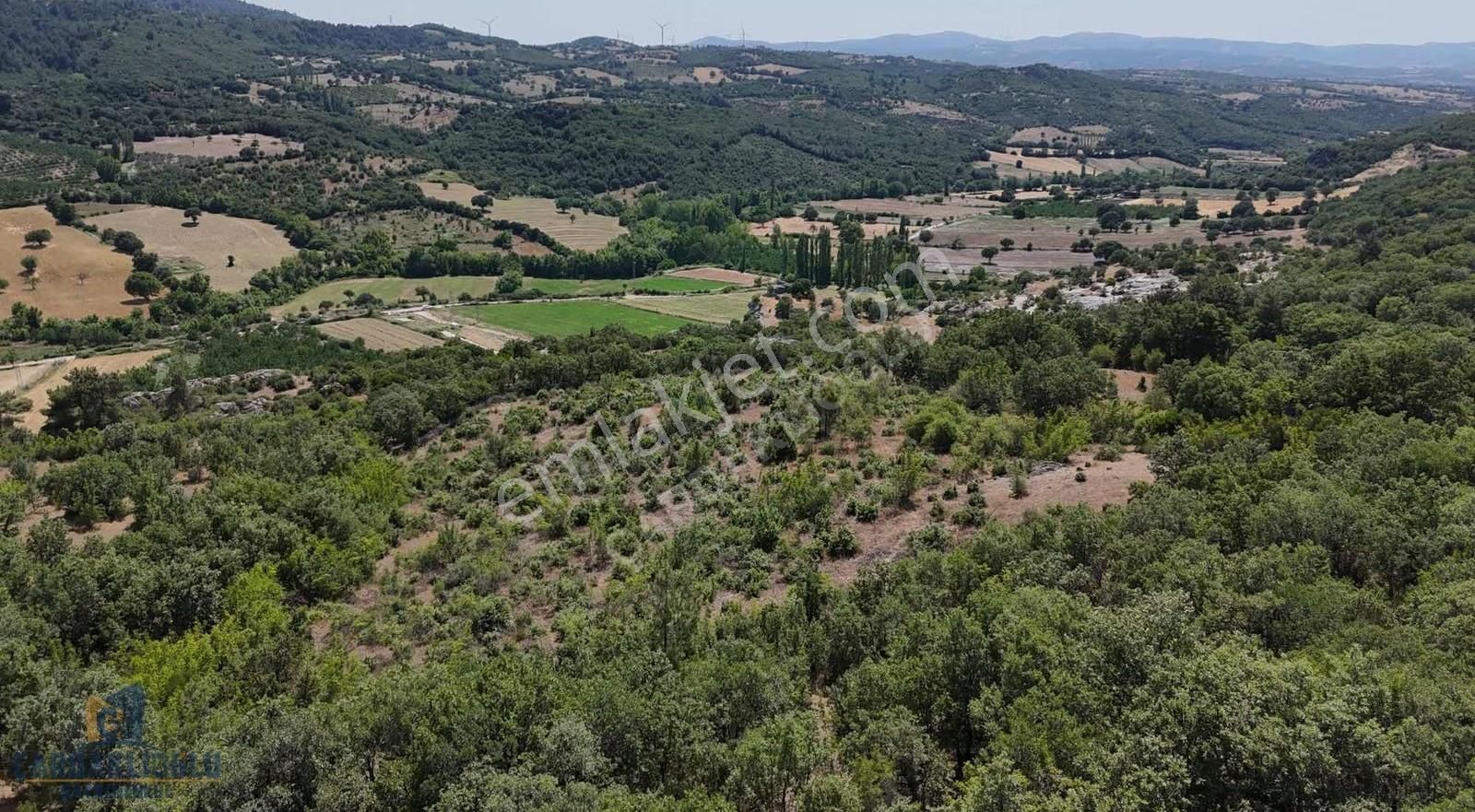 Ayvacık Misvak Kelepir 8100 M2 Doğanın Kalbinde Baraj Manzaralı - Görsel 23