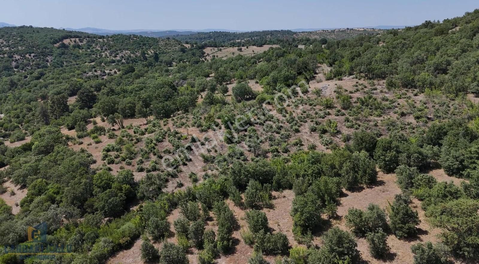 Ayvacık Misvak Kelepir 8100 M2 Doğanın Kalbinde Baraj Manzaralı - Görsel 25