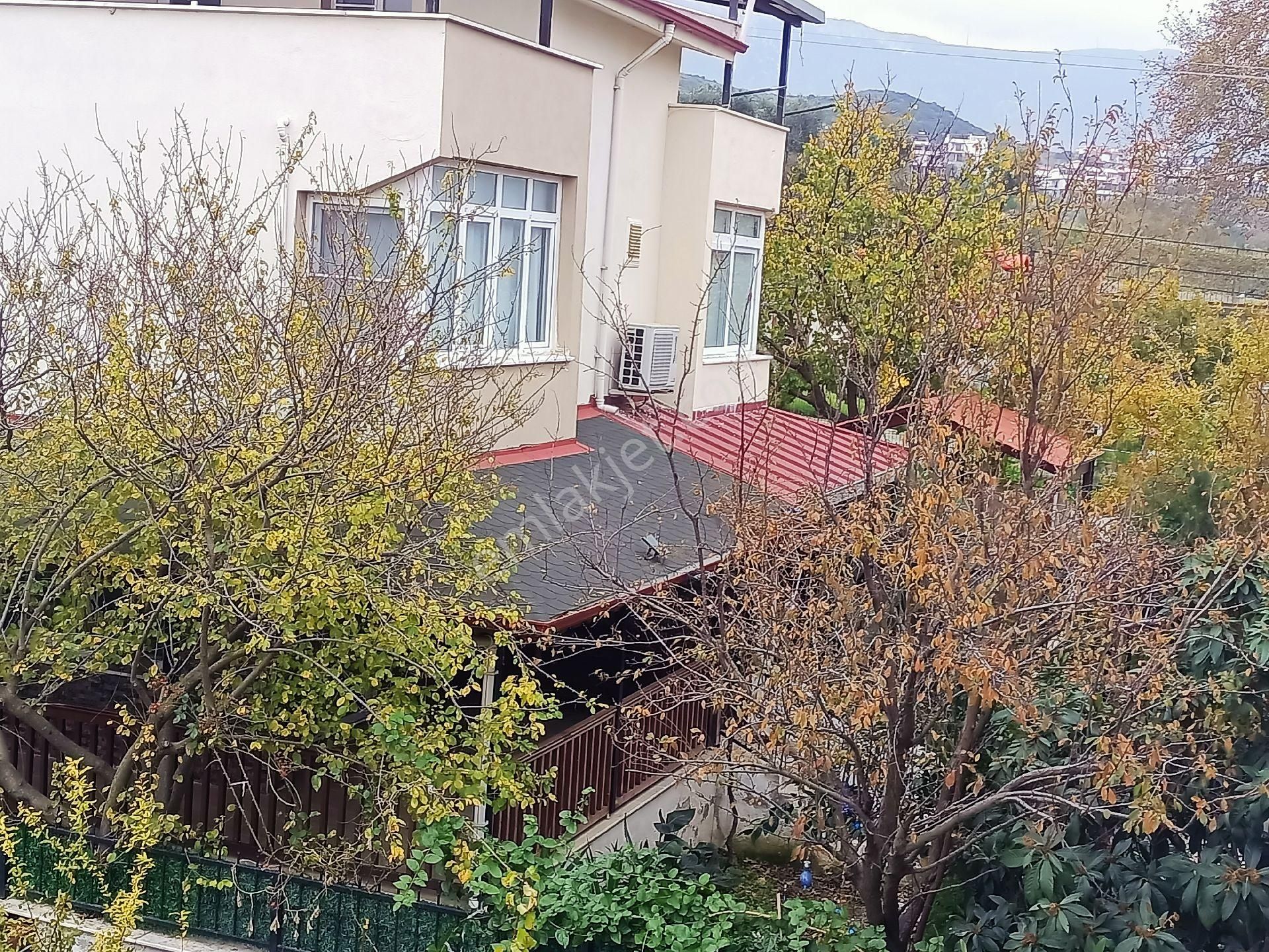 Kuşadası Davutlar 3+vil - Görsel 26