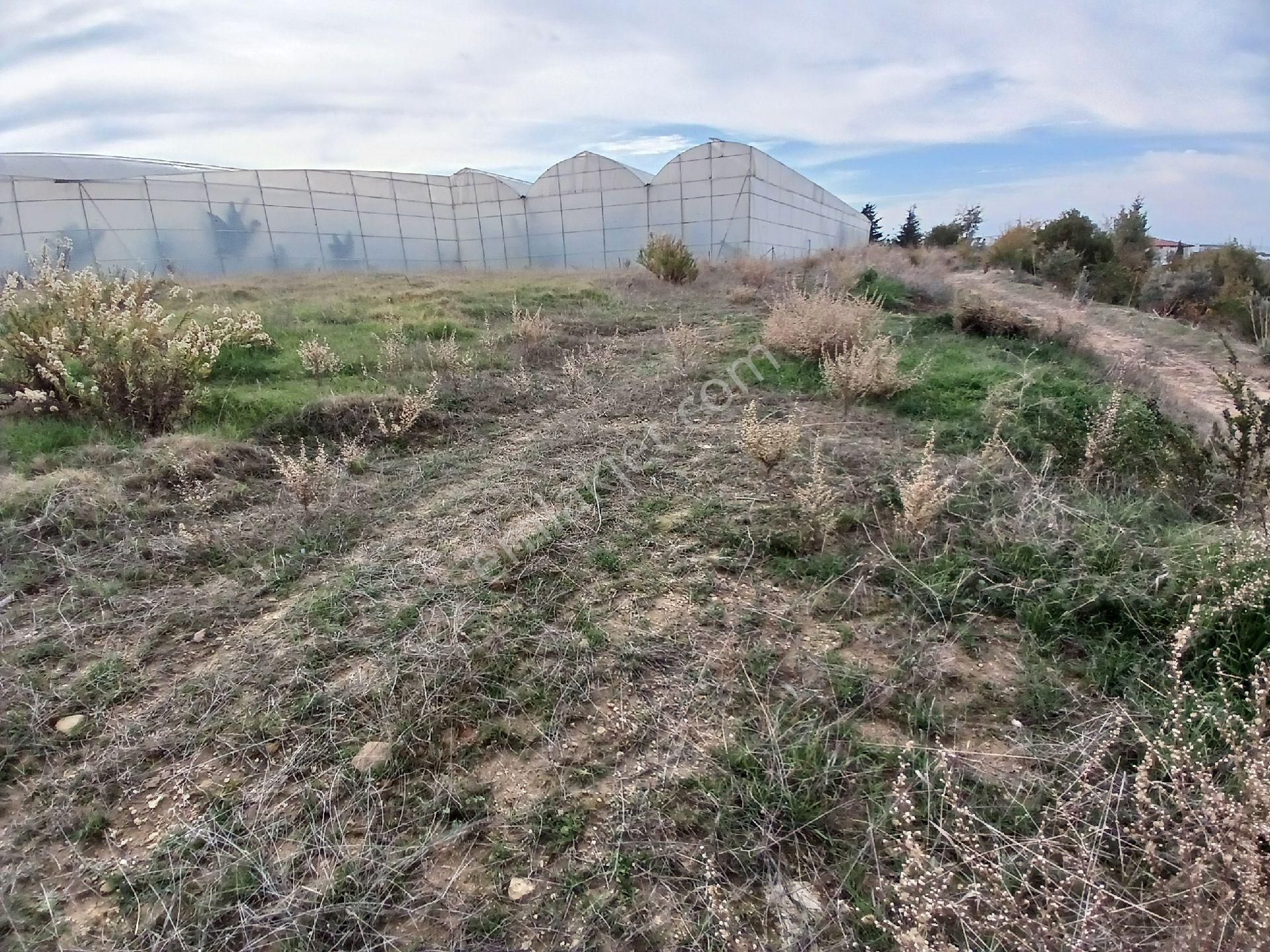 Manavgat Çenger Mahallesinde Satılık Tek Tapu 30.400 M² Tarla