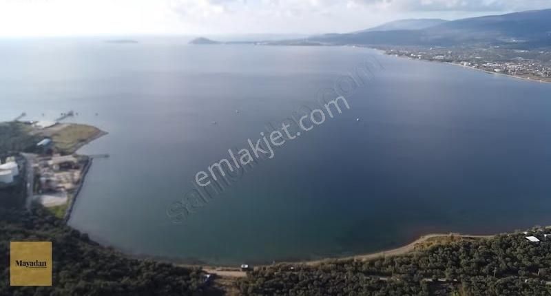 Bandırma Edincikte Deniz Manzaralı 2.260 M² Zeytinlik - Görsel 10