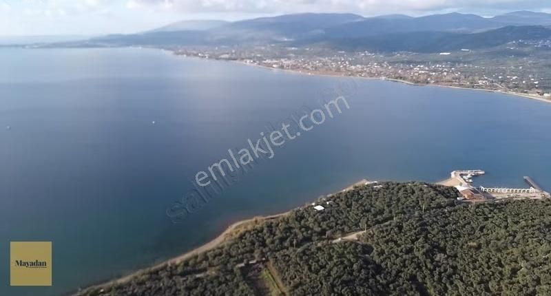 Bandırma Edincikte Deniz Manzaralı 2.260 M² Zeytinlik - Görsel 11