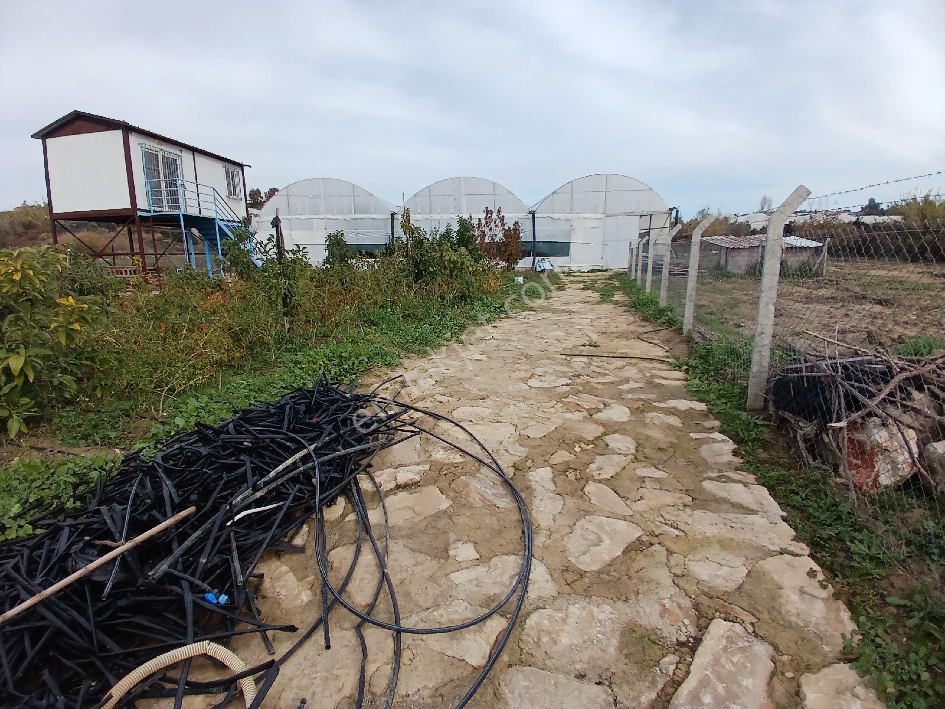 Manavgat Çenger Mahallesinde Satılık 6168 M² Tek Tapu Ve Ejder Meyvesi - Görsel 5