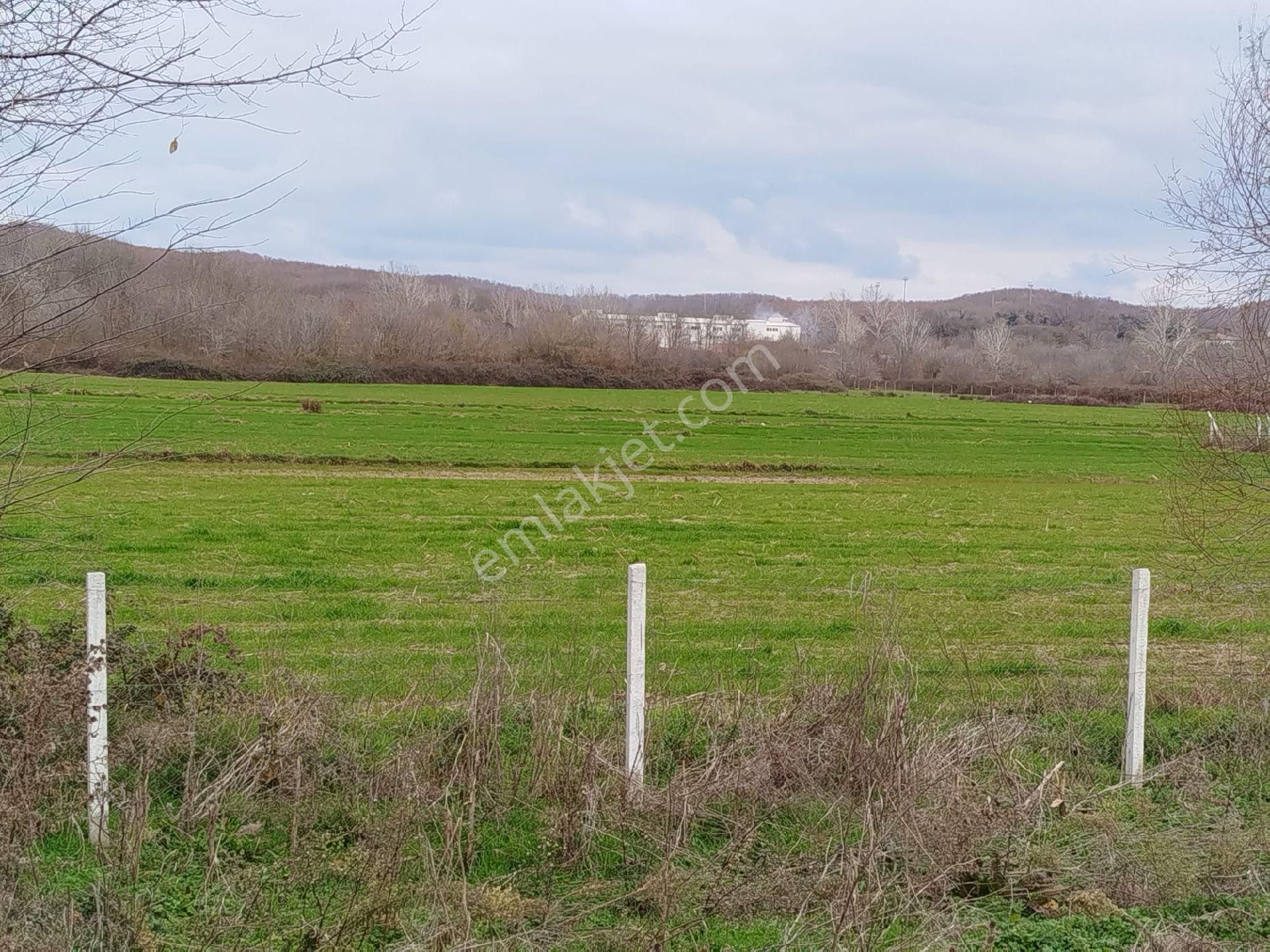 İst.çatalca'da 333.m² Satılık Arsa - Görsel 6