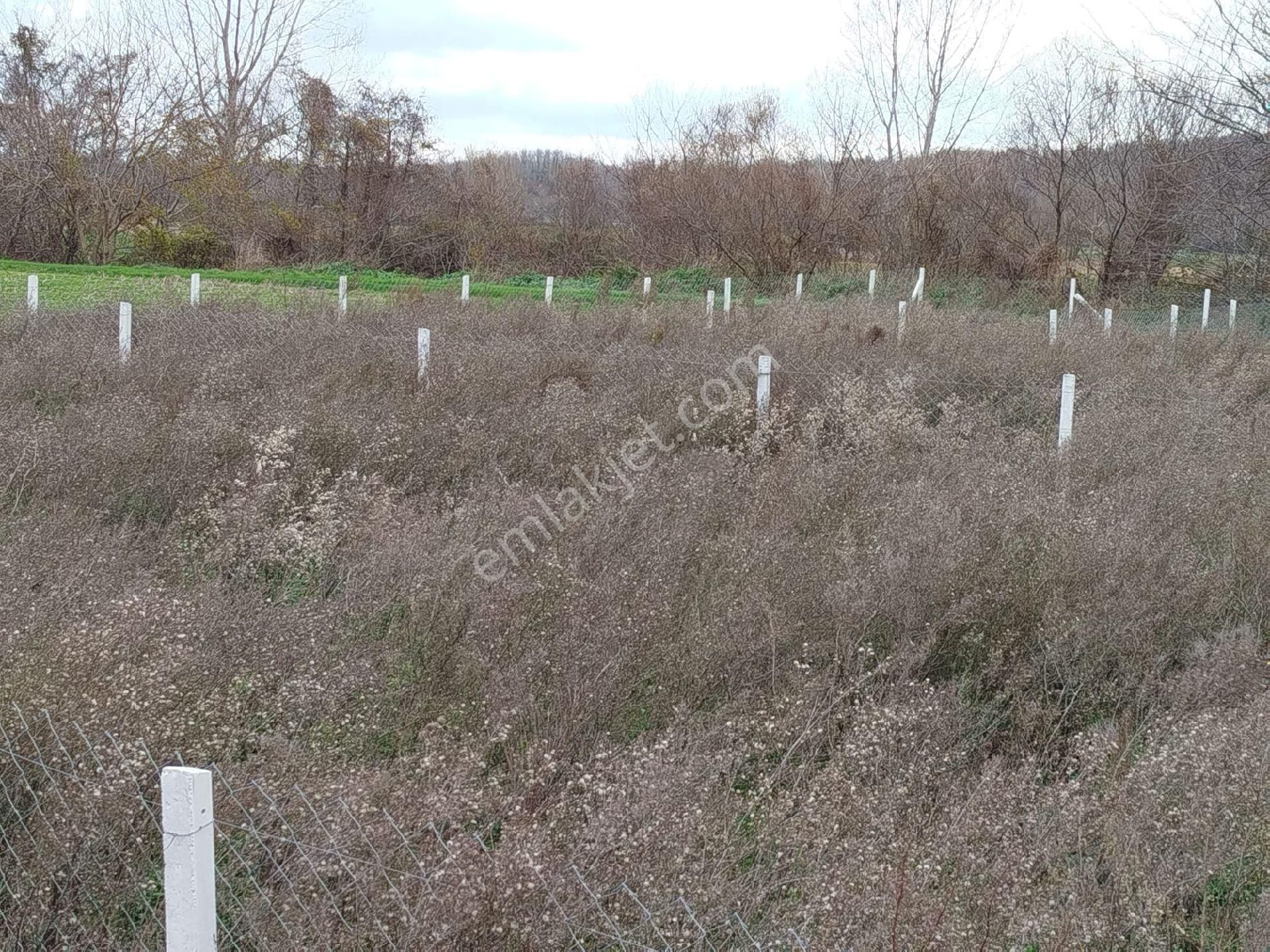 İst.çatalca'da 333.m² Satılık Arsa - Görsel 5