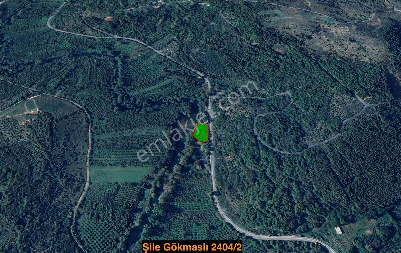 İstanbul Şile Gökmaslı | 1.621m² Asfalt Yola Cephe Satılık Tarla - Görsel 23
