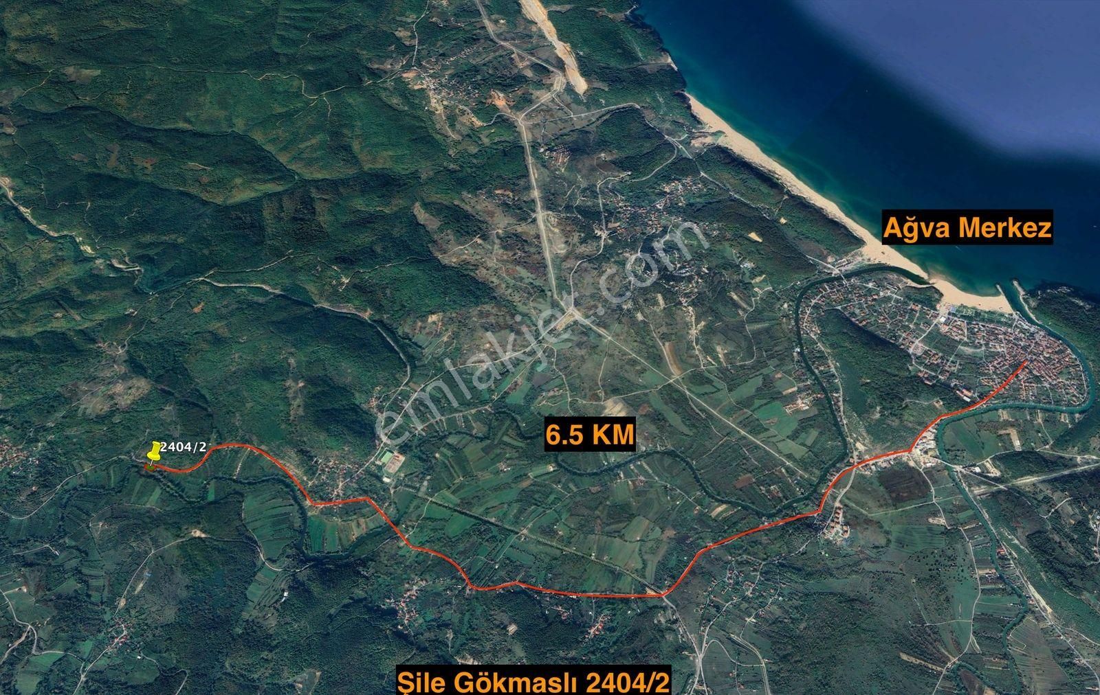 İstanbul Şile Gökmaslı | 1.621m² Asfalt Yola Cephe Satılık Tarla - Görsel 19