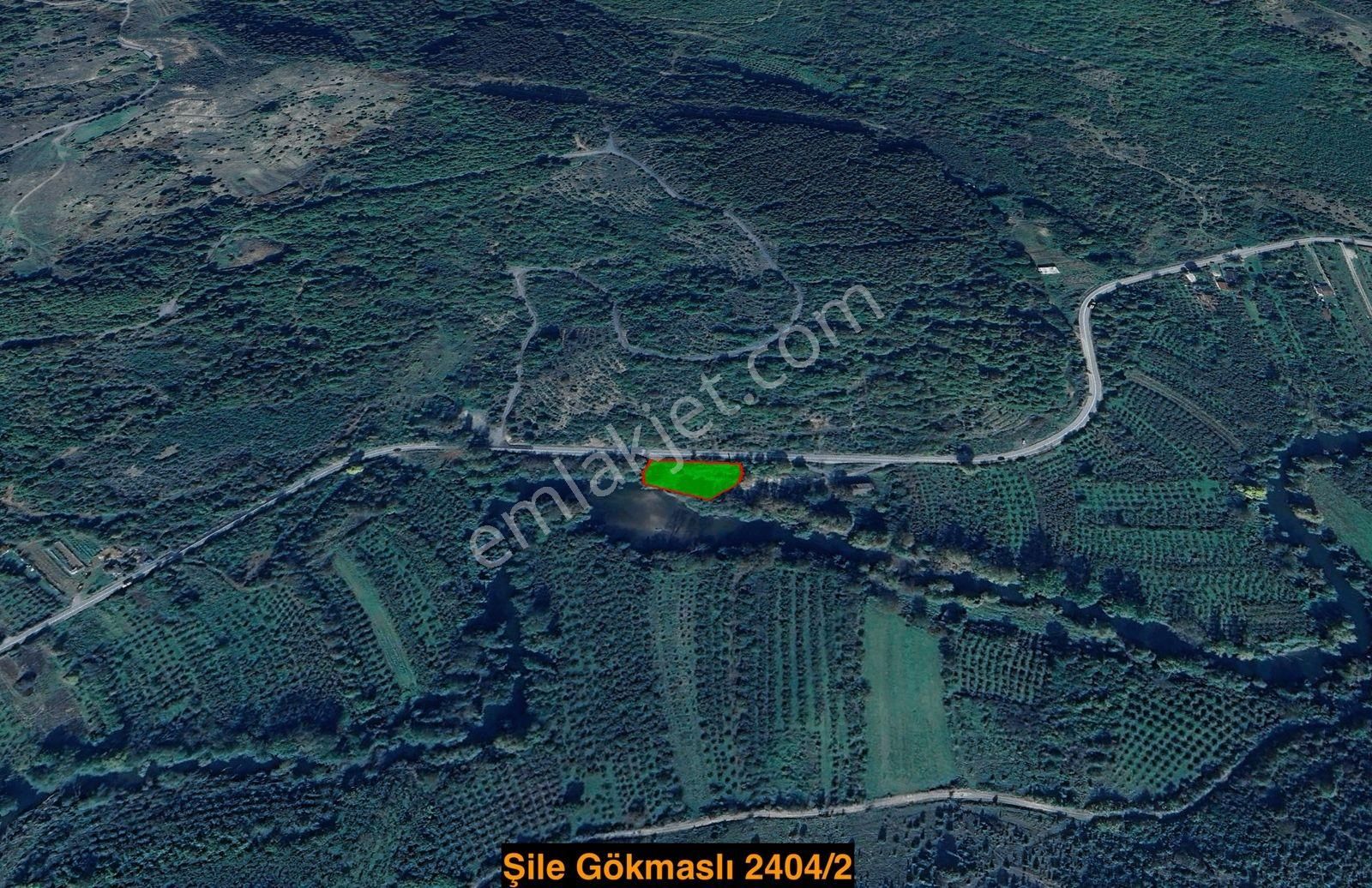 İstanbul Şile Gökmaslı | 1.621m² Asfalt Yola Cephe Satılık Tarla - Görsel 21