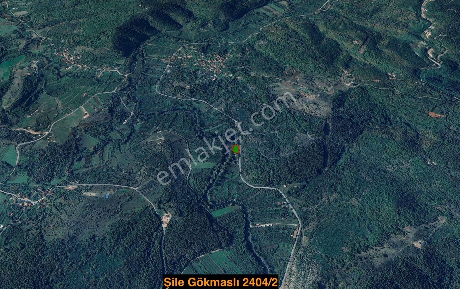 İstanbul Şile Gökmaslı | 1.621m² Asfalt Yola Cephe Satılık Tarla - Görsel 11