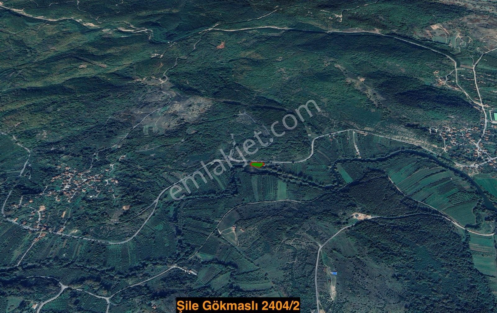 İstanbul Şile Gökmaslı | 1.621m² Asfalt Yola Cephe Satılık Tarla - Görsel 20