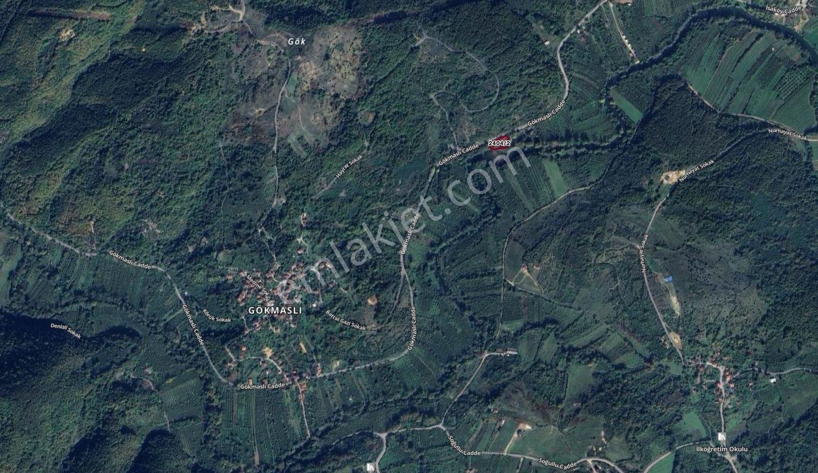 İstanbul Şile Gökmaslı | 1.621m² Asfalt Yola Cephe Satılık Tarla