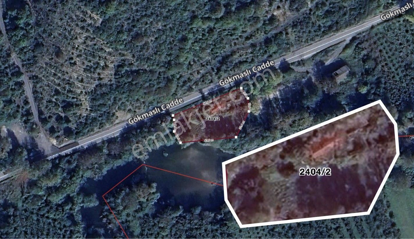 İstanbul Şile Gökmaslı | 1.621m² Asfalt Yola Cephe Satılık Tarla - Görsel 12