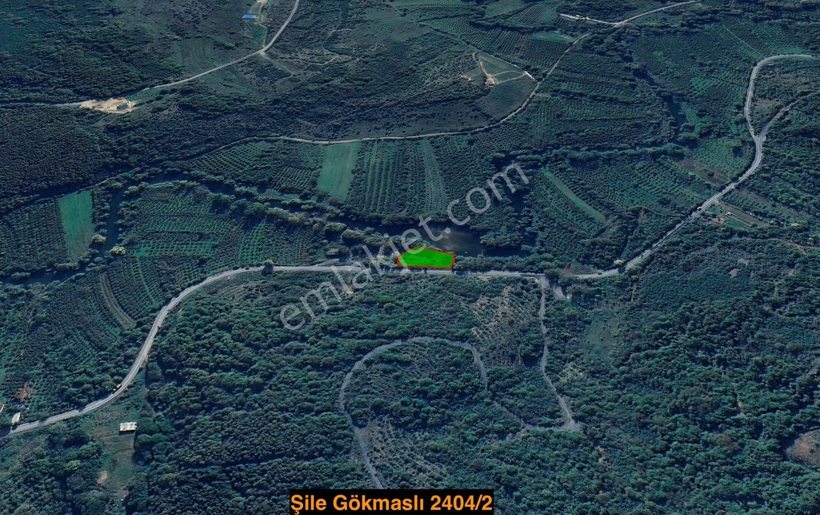 İstanbul Şile Gökmaslı | 1.621m² Asfalt Yola Cephe Satılık Tarla - Görsel 14