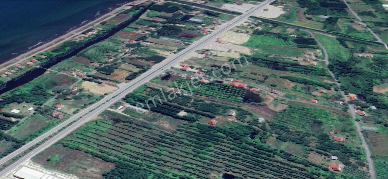 Samsun Terme'de Ticari Ve Konut İmarlı 14.000 M2 Müstakil Tapulu Arsa - Görsel 19