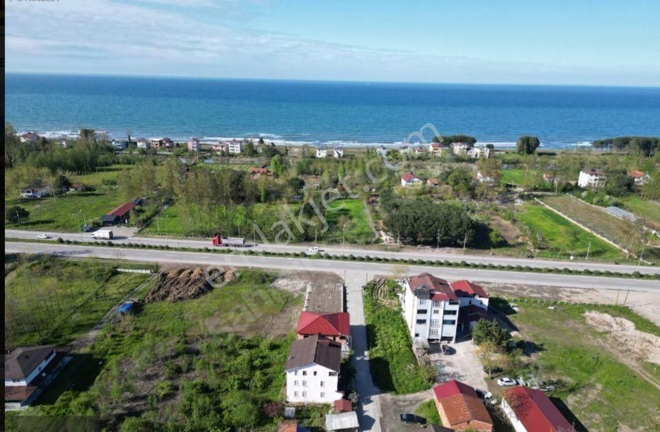 Samsun Terme'de Ticari Ve Konut İmarlı 14.000 M2 Müstakil Tapulu Arsa - Görsel 5