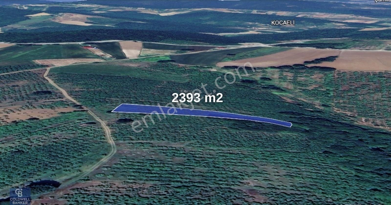 Sakarya Kaynarca Topçu 2392 M2 Satılık Fındık Bahçesi - Görsel 3