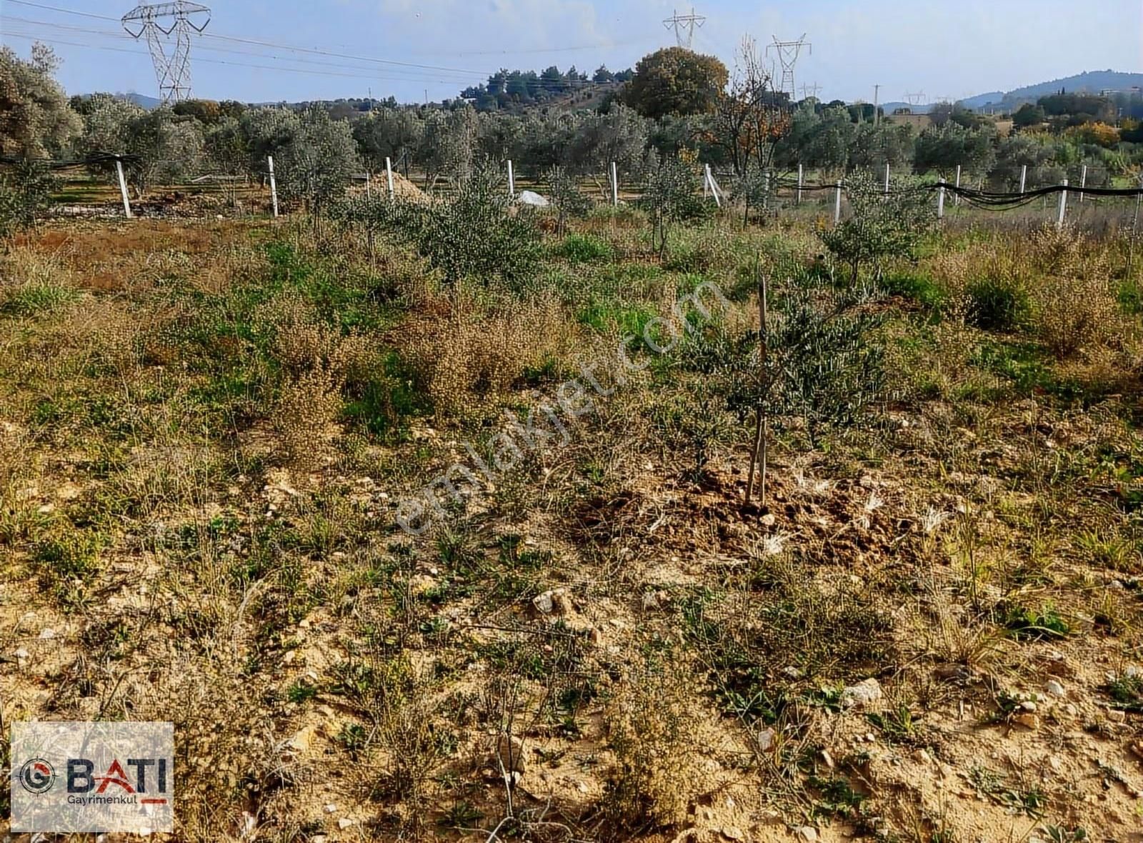 Torbalı Batı Gayrimenkul Den Satılık Hisse Tapulu Tarla - Görsel 10