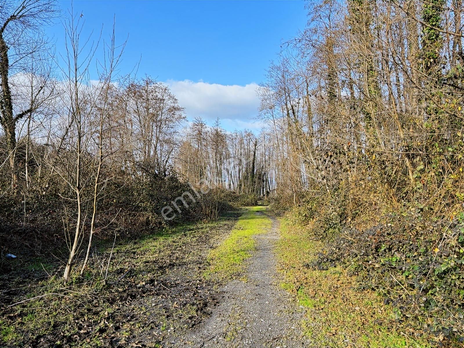 Sapanca Gölüne Sıfır,1.derece Sit Alanı Kapsamında Satılık Arazi - Görsel 34
