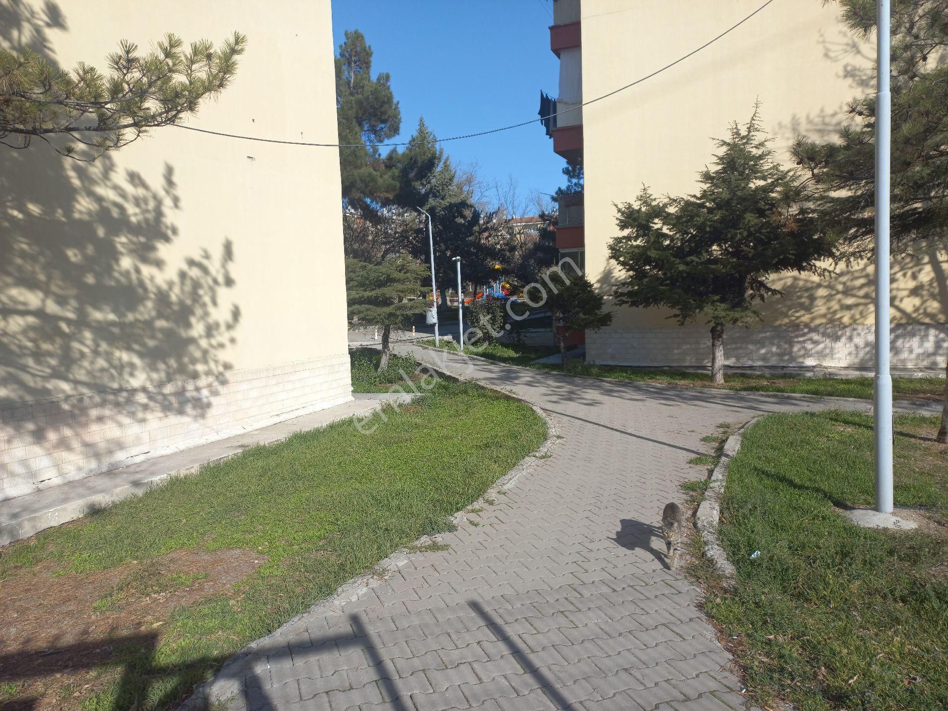 Batıkent Kardelende Kiralık Daire - Görsel 2