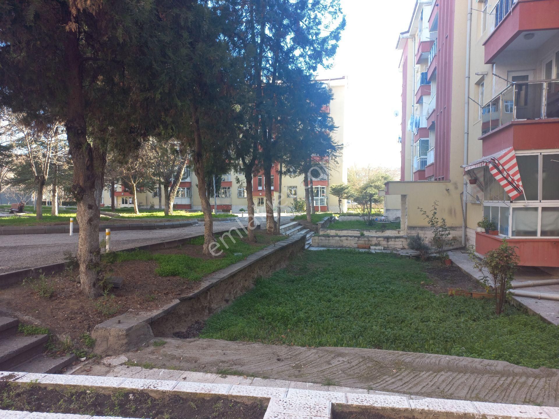 Batıkent Kardelende Kiralık Daire - Görsel 4